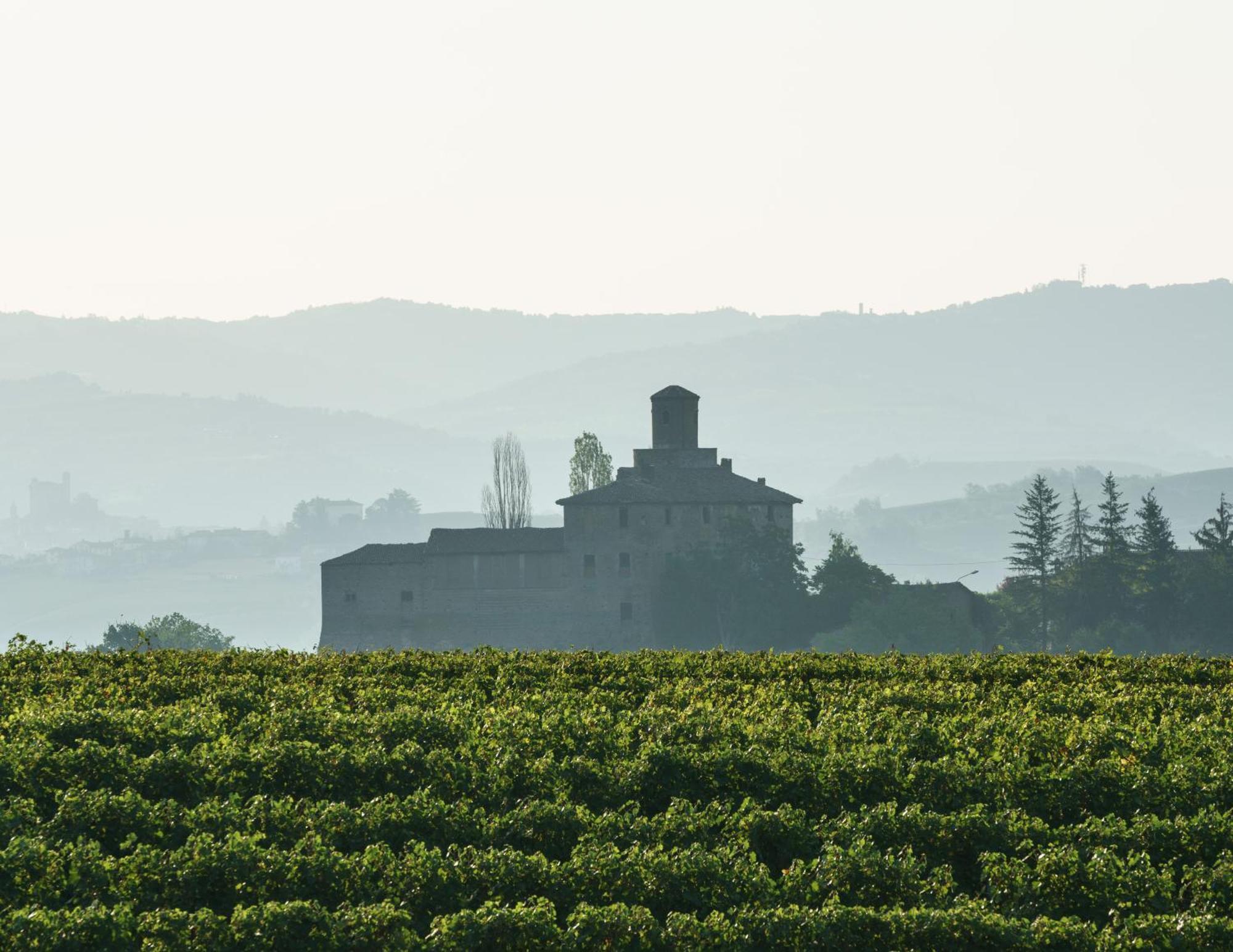 Apartmán Vineho Barolo Exteriér fotografie