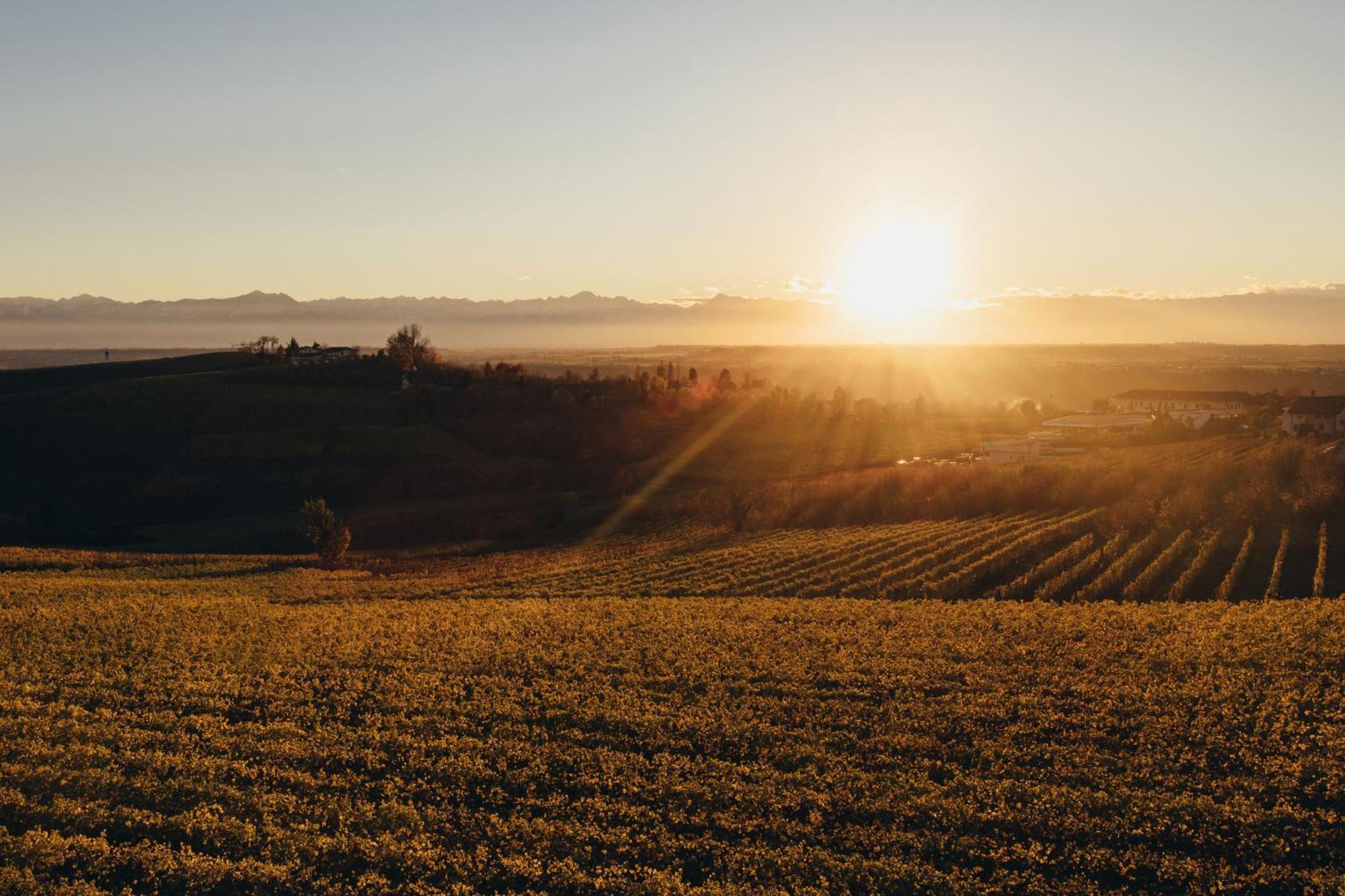 Apartmán Vineho Barolo Exteriér fotografie