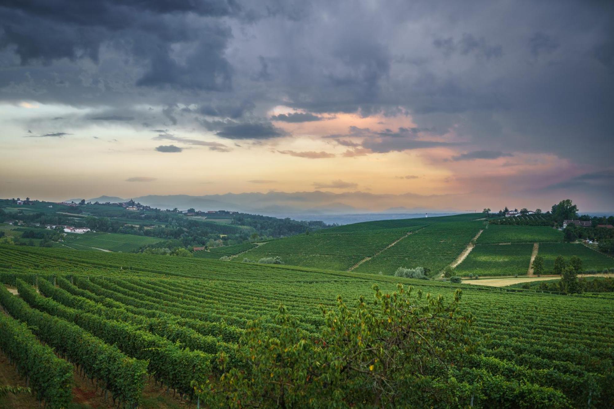 Apartmán Vineho Barolo Exteriér fotografie