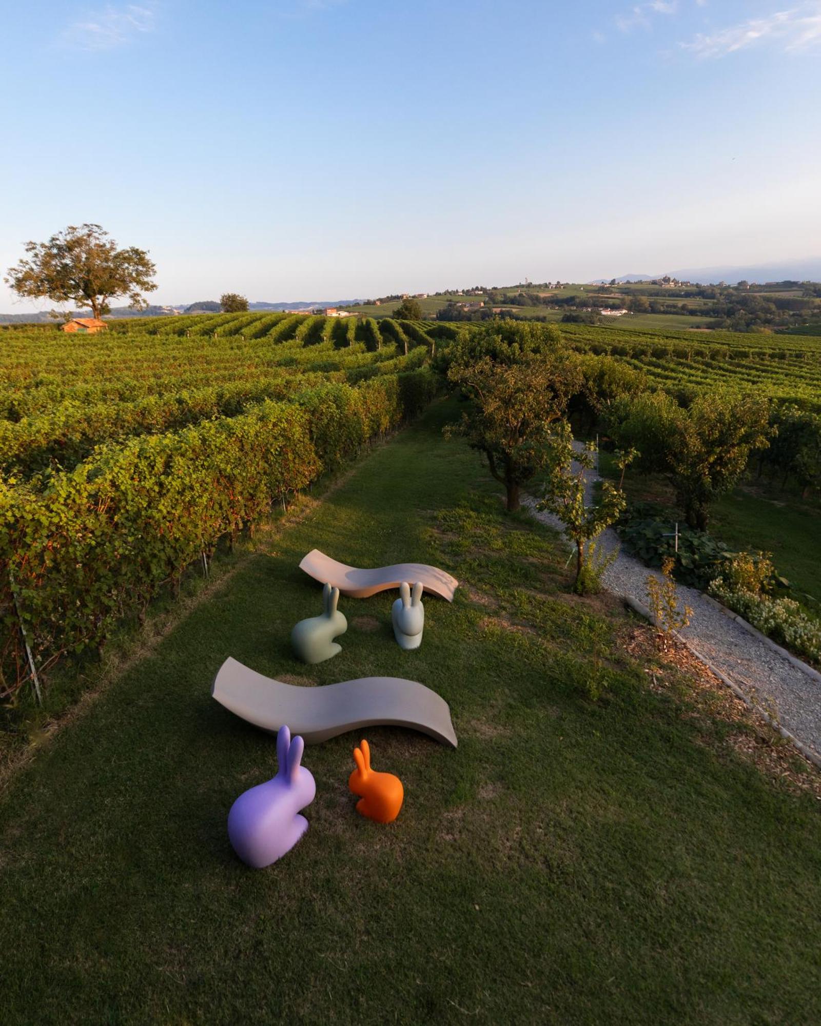 Apartmán Vineho Barolo Exteriér fotografie